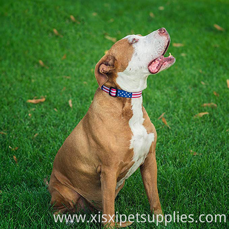 Sturdy polyester webbing with a durable quick-release plastic buckle and a heavy-duty zinc alloy D-ring American Flag Dog Collar